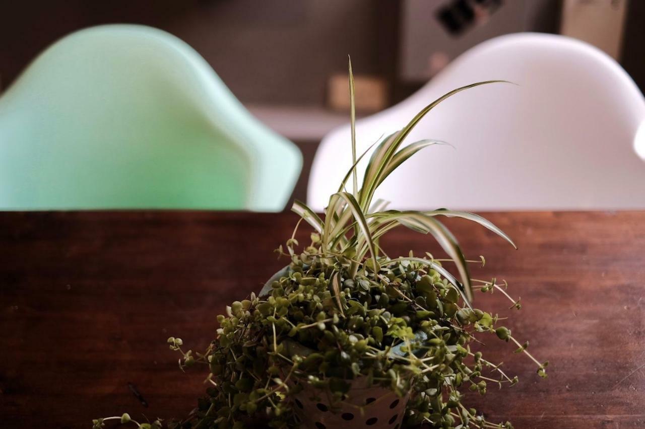 Leonidas Design Loft ميندوزا المظهر الخارجي الصورة